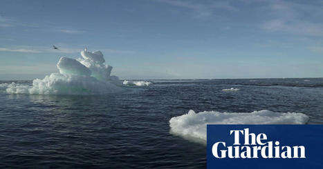 Clothes washing linked to ‘pervasive’ plastic pollution in the Arctic - The Guardian | Medici per l'ambiente - A cura di ISDE Modena in collaborazione con "Marketing sociale". Newsletter N°34 | Scoop.it