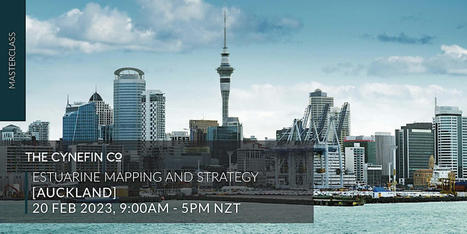 Masterclass in Cynefin, Estuarine Mapping and Strategy Tickets, Mon 20/02/2023 at 9:00 am | Art of Hosting | Scoop.it