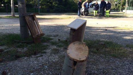 Montélimar : des nichoirs pour les mésanges afin de lutter contre la pyrale du buis | Les oiseaux au gré du vent | Scoop.it
