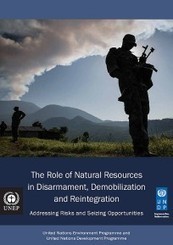 The Role of Natural Resources in Disarmament, Demobilization, and Reintegration | UNDP | Biodiversit&eacute; | Scoop.it