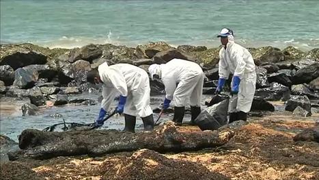 Sri Lanka In Pollution Accidentelle Des Eaux Déchets