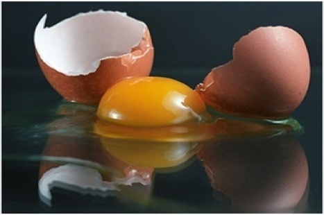 Mille et une astuces pour remplacer les oeufs dans les recettes ! | Recettes Index Glyc&eacute;miques Bas | Scoop.it