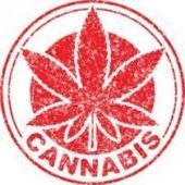 Trade groups are sprouting from cannabis industry - Marijuana Business Daily | Marijuana, Cannabis, Longevity, Legacy | Scoop.it