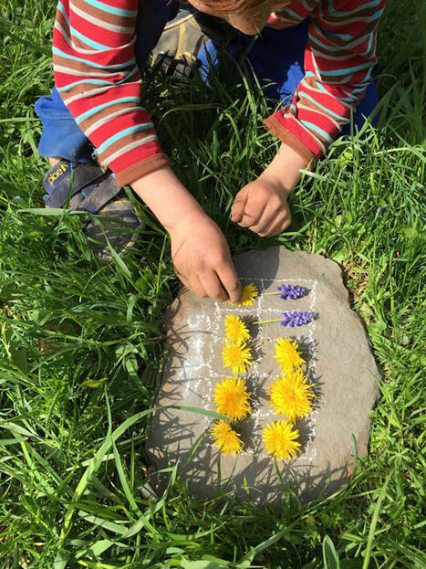 Wild Learning&nbsp; | RAINFOREST EXPLORER | Scoop.it