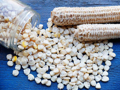 MEXICO: A corn crisis is brewing  | AMÉRIQUES | Scoop.it