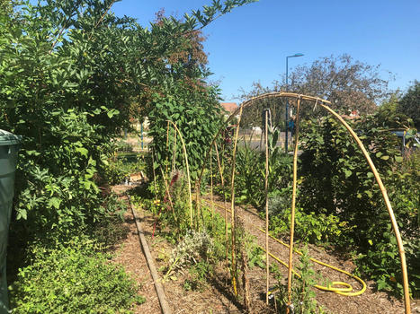 Rentrée 2024 du jardin école de Vauréal | Environnement, paysage et biodiversité | Scoop.it