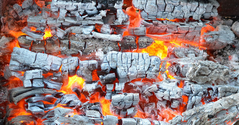 12 Ways To Use Wood Ash In The Home and Garden | Eco-Friendly Lifestyle | Scoop.it