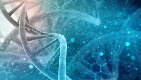 L’ADN serait apparu en même temps que l’ARN | Pour la Science | EntomoScience | Scoop.it
