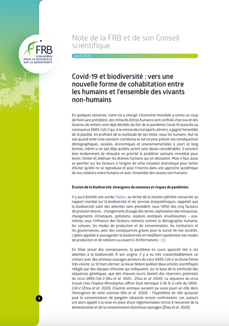 Covid-19 et biodiversité : vers une nouvelle forme de cohabitation entre les humains et l’ensemble des vivants non-humains | Biodiversité | Scoop.it