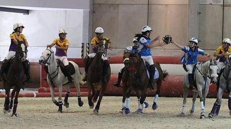 El campeonato de Espa&ntilde;a de ponis encara sus dos &uacute;ltimas jornadas - El Norte de Castilla | Caballo, Caballos | Scoop.it