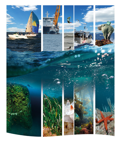 Life Marha : projet intégré sur les habitats naturels marins - Retour sur la conférence de clôture | Biodiversité | Scoop.it