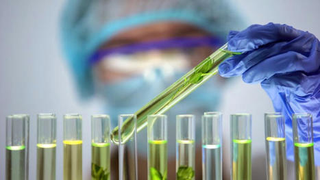 Glyphosate&nbsp;: 99 % des &eacute;tudes scientifiques ont &eacute;t&eacute; exclues de l&rsquo;expertise europ&eacute;enne, selon un rapport de G&eacute;n&eacute;rations Futures &ndash; EURACTIV.fr | Gestion Durable des Ressources | Scoop.it