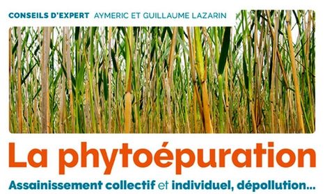 [Livre] La phytoépuration par Aymeric et Guillaume Lazarin | Build Green, pour un habitat écologique | Scoop.it