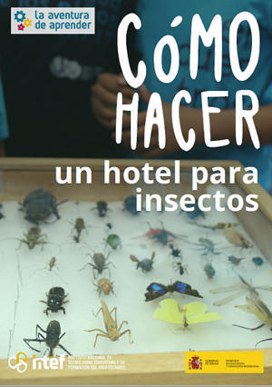 Cómo hacer un hotel para insectos - La Aventura de Aprender | Bichos en Clase | Scoop.it