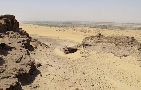 L'arm&eacute;e &eacute;gyptienne tue "par erreur" douze touristes confondus avec des djihadistes | ACTUALIT&Eacute; | Scoop.it