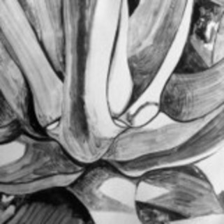 revue Nunc n° 33 | Revues | Scoop.it