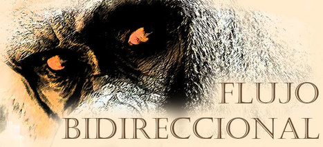 Flujo bidireccional: Stephen Colbert en el Congreso | Agenda 2030 | Scoop.it