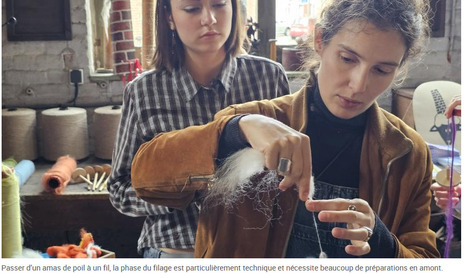 Roubaix : Wool Factory Challenge fait revivre la laine | ENSAIT DOC | Scoop.it