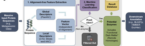 sxRaep: A Rapid and Accurate Enzyme Predictor for high-throughput mining of enzymatic sequences | brvai | RMH | Scoop.it