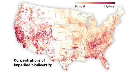 This Map Shows Where Biodiversity Is Most at Risk in America - The New York Times | Biodiversité | Scoop.it