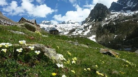 Mercantour Ecotourisme, le Mercantour autrement ! | Tourisme Durable - Slow | Scoop.it