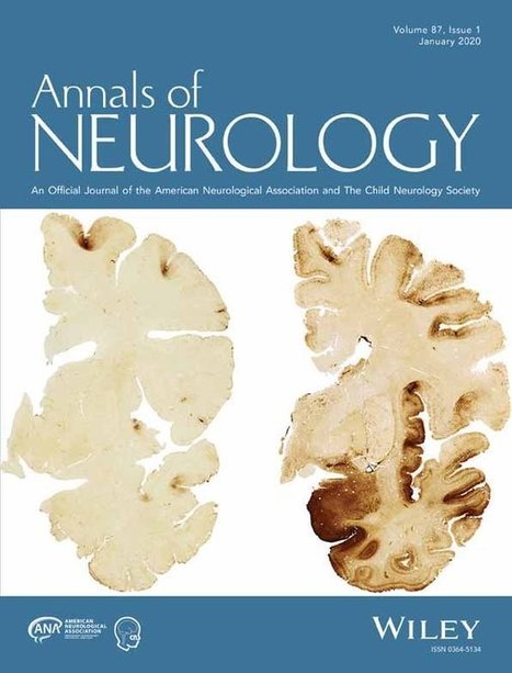 Human CSF monoclonal LGI1 autoantibodies increase neuronal excitability - Kornau - - Annals of Neurology | AntiNMDA | Scoop.it