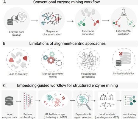 Visualize, Explore, and Select: A protein Language Model-based Approach Enabling Navigation of Protein Sequence Space for Enzyme Discovery and Mining | brvai | RMH | Scoop.it