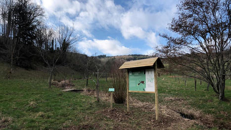 Les vergers conservatoires départementaux - Transition écologique | Conseil Départemental des Vosges | La SELECTION du Web | CAUE des Vosges - www.caue88.com | Scoop.it