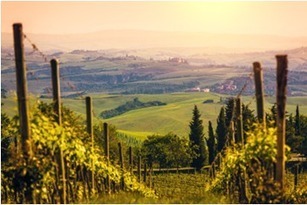 Le tourisme durable par la voie culinaire | Innovation and trends in tourism | Scoop.it