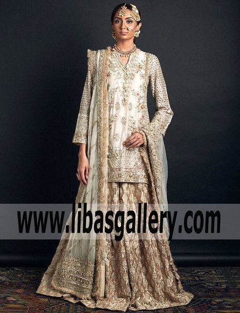 plus size pakistani wedding dresses