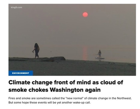Climate Change front of mind asCloud of Smoke chokes Washington, again | Technology in Business Today | Scoop.it