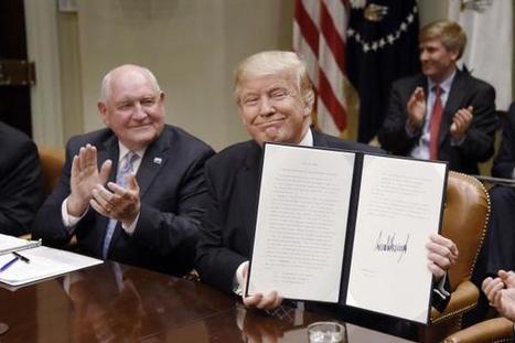 Trump signs order aimed at growing U.S. agriculture industry | L'ECHO DEMETER | Scoop.it