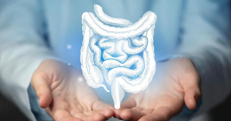 Sant&eacute;. Une &eacute;tude r&eacute;v&egrave;le le r&ocirc;le crucial de l'alimentation dans la survenue du cancer colorectal | ITERG - Nutrition, Sant&eacute; et Biochimie des Lipides | Scoop.it