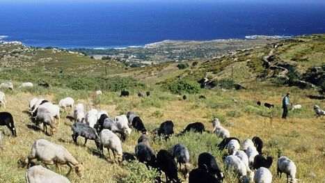 France : un tiers du territoire joue un rôle vital pour la biodiversité | Biodiversité | Scoop.it