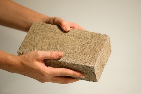 bioMason Grows Bricks Without Using Any Heat | Biomimicry | Scoop.it