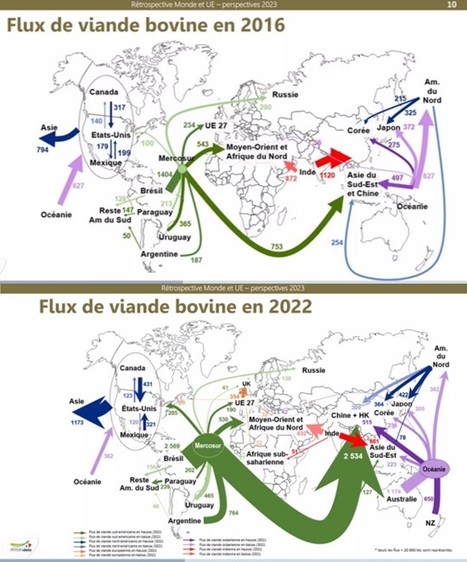 Viande : Rétrospective des marchés 2022 et début 2023 et perspectives | Lait de Normandie... et d'ailleurs | Scoop.it