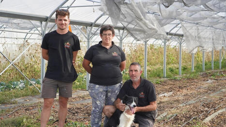 En Vend&eacute;e, des mara&icirc;chers transforment une saison difficile en banquet sous serre - Ouest France [Abonn&eacute;s] | Agriculture et communication positive | Scoop.it