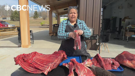 Doig River First Nation celebrates new cultural experiences centre&nbsp; | Language and Culture | Scoop.it