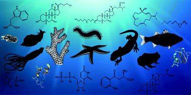 Pheromones, attractants and other chemical cues of aquatic organisms and amphibians | Natural Products Chemistry Breaking News | Scoop.it