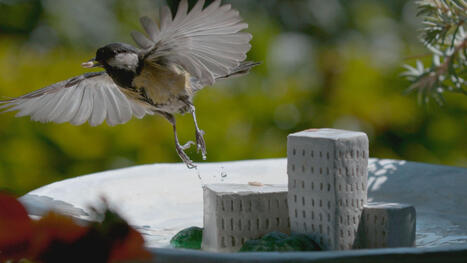 Temps fort : nature et transition &eacute;cologique | Paysage - Agriculture | Scoop.it