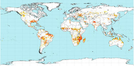 CAMS : monitoring extreme wildfire emissions in 2022 - Copernicus | Biodiversité | Scoop.it