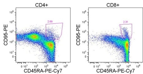 Identification of human stem cell-like memory T cells in PBMC | Immunology Diagnosis | Scoop.it
