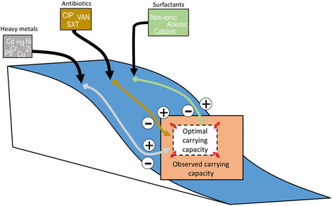 Mod&eacute;lisation de l'impact des &eacute;co-exposomes urbains et hospitaliers sur la dynamique de la r&eacute;sistance aux antibiotiques dans les eaux us&eacute;es | Life Sciences Universit&eacute; Paris-Saclay | Scoop.it