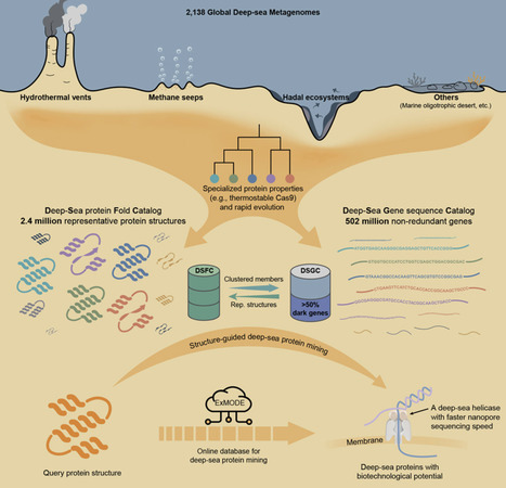 The genetic repertoire of deep-sea microbiome: From sequence to structure and function | chm | RMH | Scoop.it
