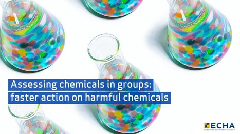Publication des premières évaluations des besoins réglementaires par groupes de produits chimiques | ECHA | Prévention du risque chimique | Scoop.it