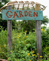 Start a School Garden Using the School Garden Wizard | School Gardening Resources | Scoop.it