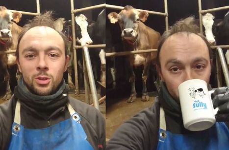 Un agriculteur promet un don de 3000 litres de lait si sa vidéo fait le buzz | Lait de Normandie... et d'ailleurs | Scoop.it