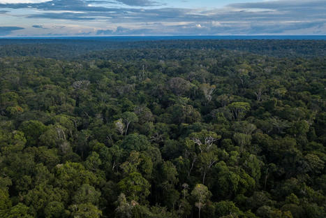 Satellite images show the Amazon rainforest is hurtling toward a ‘tipping point’ | Kids Global Climate Change Institute (KGCCI) Leaders [are] throwing their people to the wolves of energy insecurity, price volatility & climate chaos. The [Third] IPCC report lays out a saner, safer approach.... António Guterres | Scoop.it
