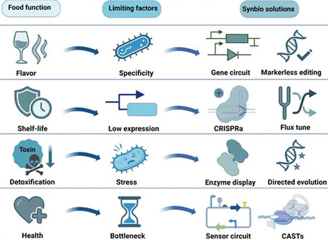 Synthetic Biology for Next-Generation Lactic Acid Bacteria: Engineering the Future of Food | acs | RMH | Scoop.it