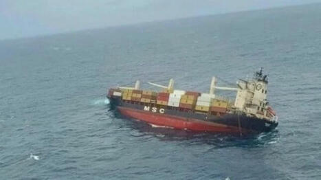 Indian Court Detains Another MSC Ship for Claim From MSC Elsa 3 Damages / le 13.08.2025 | Pollution accidentelle des eaux (+ d&eacute;chets plastiques) | Scoop.it